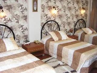 Nezih Istanbulská provincie