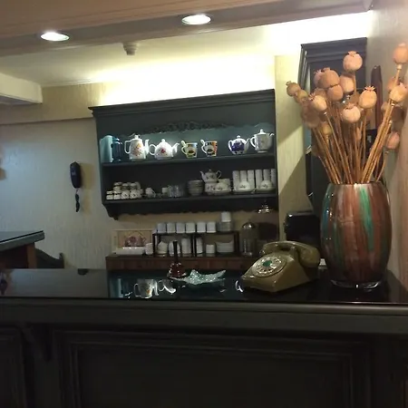 ネツィル イスタンブール